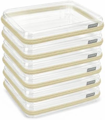 CoiiJoii Clear Hard Shell Zipper Case by CoiiJoii