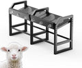 6 Feeding Ports Portable Bottle Rack, Lamb Bottle Holder by BUYYAH