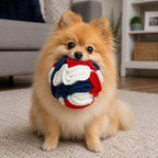 Glory To Dog Puppy/Small Breed Snuffle Ball Toy Celebration Red White Blue - Image 4