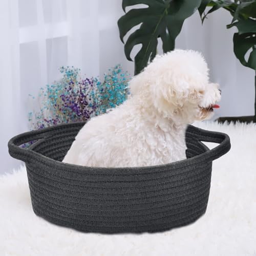 ABenkle Small Basket with Handles, Boho Decorative Rope Woven Dog Cat Toy - Image 4