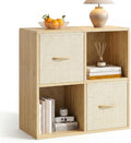 EXPERLAM 4 Cube Storage Organizer by EXPERLAM
