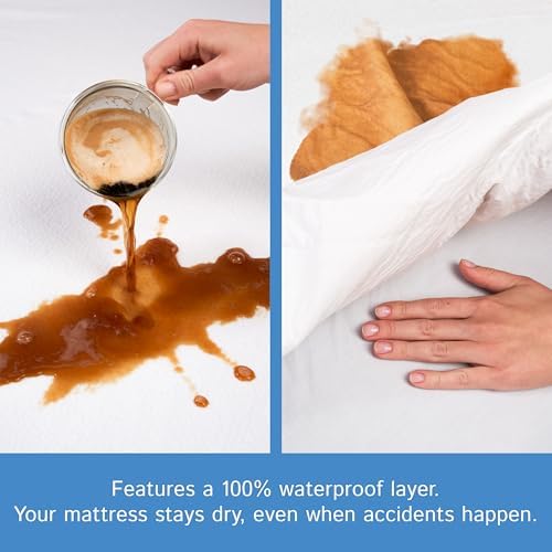 Queen Size Mattress or Box Spring Encasement – Low Profile Waterproof Zippered - Image 3