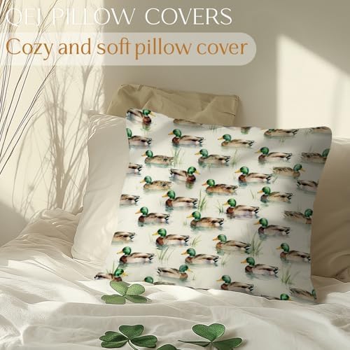 Mallard Duck Pillow Cover 18x18 Double-Sided, Mallard Duck Decor, Rustic - Image 3