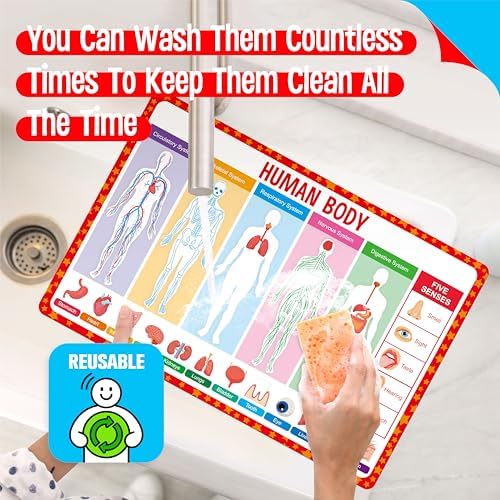 4 Pack Double-Sided Placemats, Washable & Reusable Table Mats -Math, Periodic - Image 5