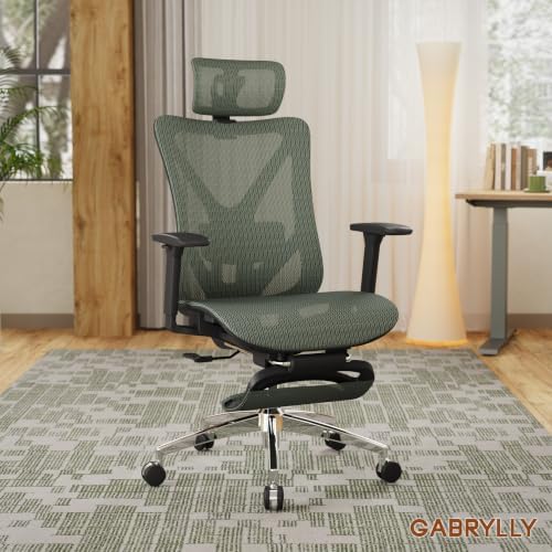 GABRYLLY Ergonomic Office Chair - Image 2