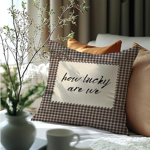 How Lucky are We Brown Gingham Pillow Cover 18x18, Trendy Minimalist Home Decor - Image 6
