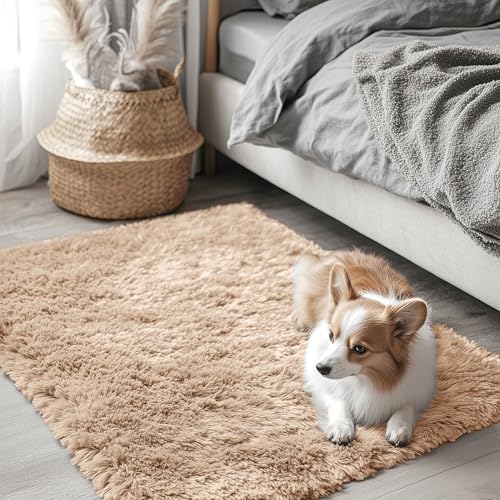 OLANLY 2x3 Machine Washable Small Bedside Rug, Soft Fluffy Shaggy Entryway by OLANLY
