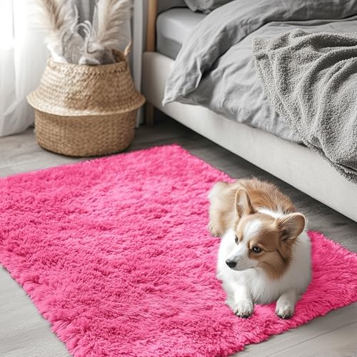 OLANLY 2x3 Machine Washable Small Bedside Rug, Soft Fluffy Shaggy Entryway by OLANLY