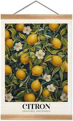 ZTGDA Farmhouse Citron Lemon Wall Art, Vintage Botanical Fruit Poster, French by Unknown