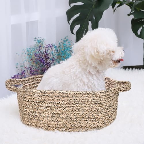 ABenkle Small Basket with Handles, Boho Decorative Rope Woven Dog Cat Toy - Image 3
