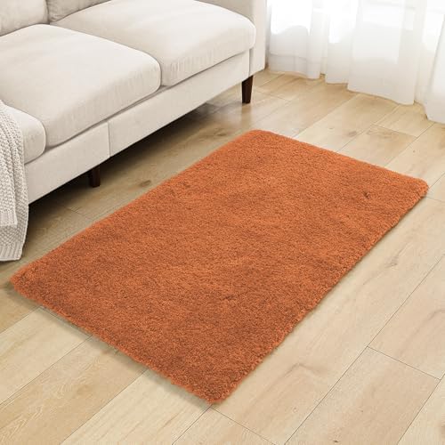 Polyester Bathroom Rug 30"x50" Burnt Orange, Large Soft Bath Mat by Kildoss