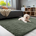 OLANLY 3x5 Machine Washable Small Bedside Rug, Soft Fluffy Shaggy Rugs by OLANLY