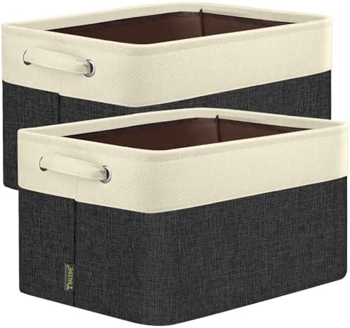 BALEINE 2 Pack Fabric Closet Storage Bins by BALEINE