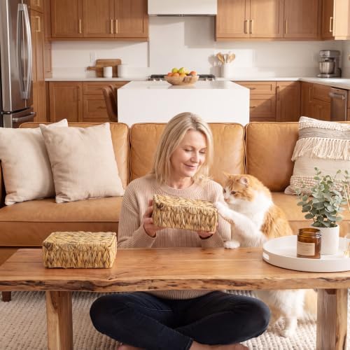 StorageWorks Small Wicker Basket - Image 5