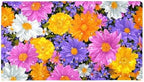 Baby Bath Mat Non Slip 26.8"x15.1" Bathtub Mat by Anna+Cowper