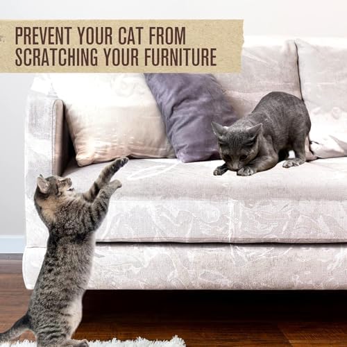 Plastic Couch Cover, Plastic Couch Covers - Image 7
