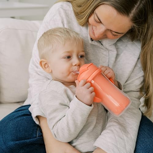Dr. Brown's Milestones Insulated Sippy Cup - Image 3