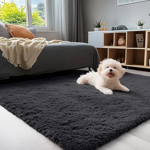 OLANLY 3x4 Machine Washable Accent Rug, Soft Fluffy Shaggy Area Rug by OLANLY
