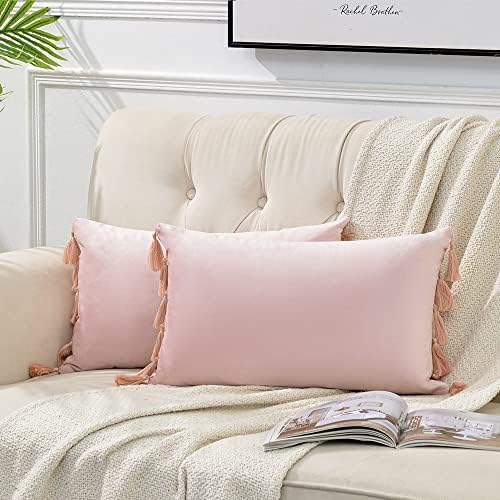 Fancy Homi 2 Pack Blush Pink Lumbar Decorative Throw Pillow Covers 12x20 Inch by Fancy+Homi