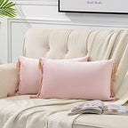 Fancy Homi 2 Pack Blush Pink Lumbar Decorative Throw Pillow Covers 12x20 Inch by Fancy+Homi