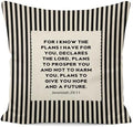 Jeremiah 29:11 Christian Pillow Cover 18x18, by Unknown