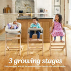 Graco Close2Baby 3-in-1 Highchair - Image 3