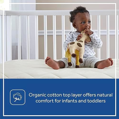 Sealy Baby Infant and Toddler Crib Mattress Protector - Image 4