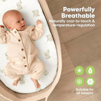2-Pack Baby Bassinet Sheets Girl, 33x17 Bedside Sheets - Image 4