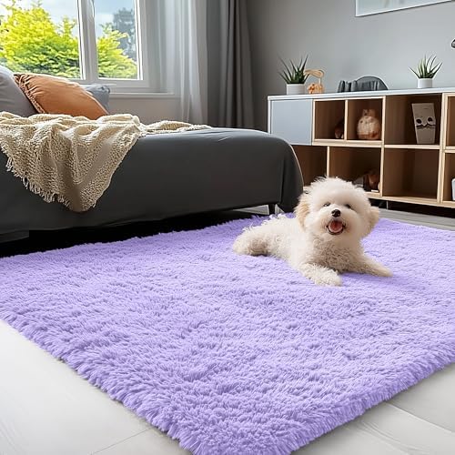 OLANLY 3x5 Machine Washable Small Bedside Rug, Soft Fluffy Shaggy Rugs by OLANLY