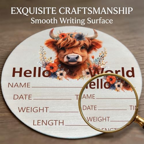 Highland Cow Baby Announcement Sign, Wooden Nursery Name Plaque 6in - Image 6