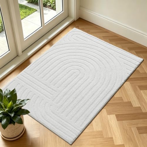Pauwer 2x3 Area Rugs for Living Room, Modern Non Slip Washable Rug by Pauwer