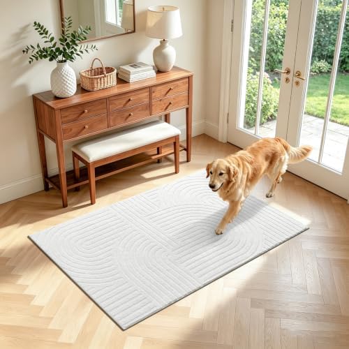 Pauwer 3x5 Area Rugs for Living Room, Modern Non Slip Washable Rug by Pauwer