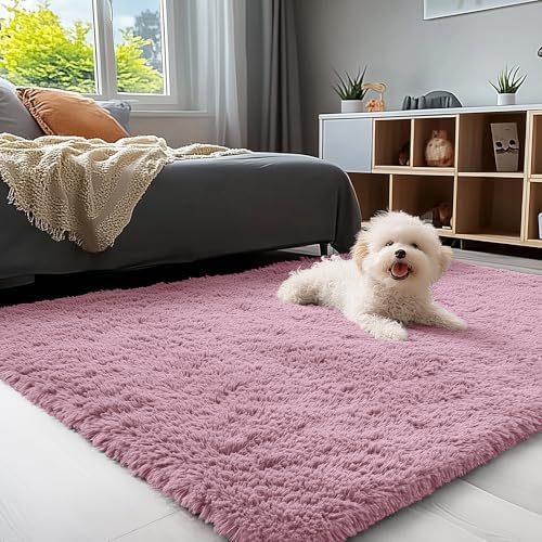 OLANLY 3x5 Machine Washable Small Bedside Rug, Soft Fluffy Shaggy Rugs by OLANLY