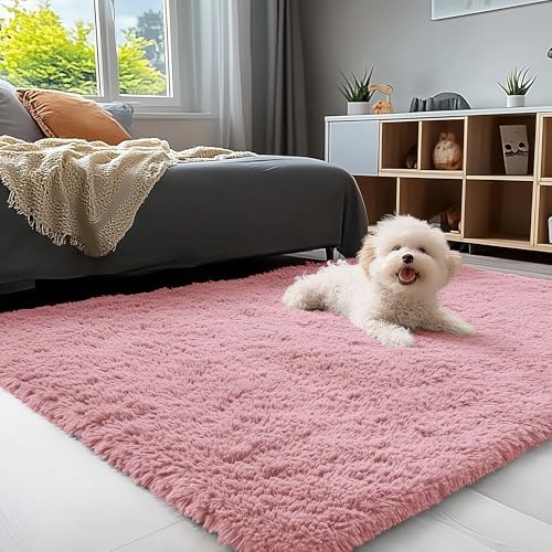 OLANLY 3x5 Machine Washable Small Bedside Rug, Soft Fluffy Shaggy Rugs by OLANLY