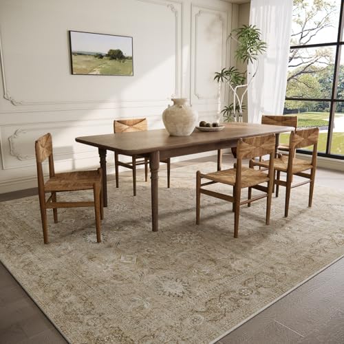 Washable Living Room Area Rug: 5x7 Rugs - Image 4
