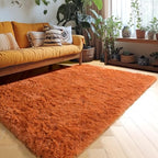 Amdrebio Burnt Orange Fall Shag Plush Area Rug 4x6 - Image 5