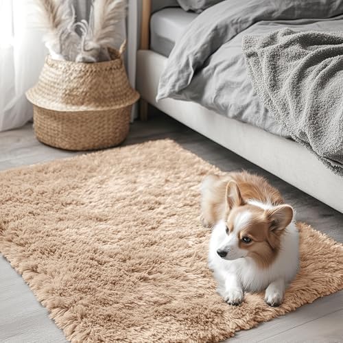 OLANLY 3x3 Machine Washable Small Bedside Rug, Soft Fluffy Shaggy Entryway by OLANLY