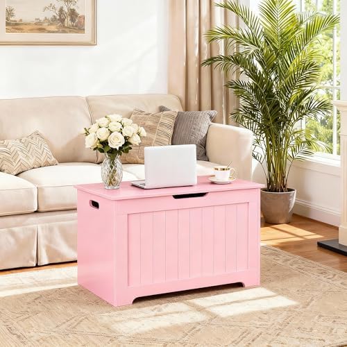 Wooden Storage Chest Box with Flip-top Lid & Safety Hinge, Living Room Organizer - Image 4