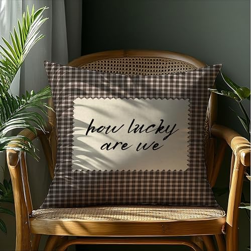 How Lucky are We Brown Gingham Pillow Cover 18x18, Trendy Minimalist Home Decor - Image 4