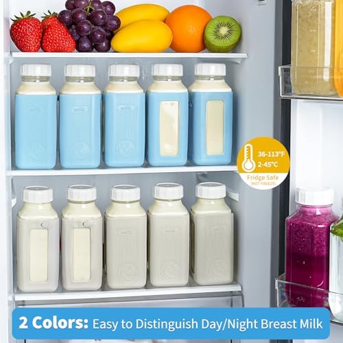 Syntic 16 Oz Glass Milk Storage Bottle - Image 5