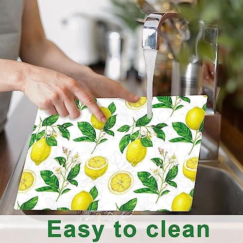 Lemon Placemats Set of 6 Summer Plastic Table Mat 17×13×0.04in - Image 3