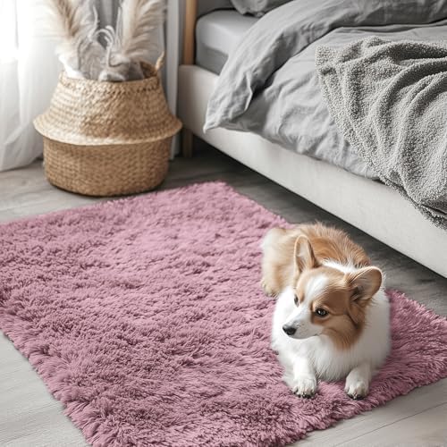 OLANLY 2x3 Machine Washable Small Bedside Rug, Soft Fluffy Shaggy Entryway by OLANLY