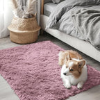 OLANLY 2x3 Machine Washable Small Bedside Rug, Soft Fluffy Shaggy Entryway by OLANLY