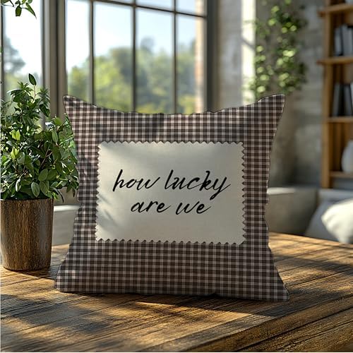 How Lucky are We Brown Gingham Pillow Cover 18x18, Trendy Minimalist Home Decor - Image 5