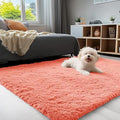 OLANLY 3x5 Machine Washable Small Bedside Rug, Soft Fluffy Shaggy Rugs by OLANLY