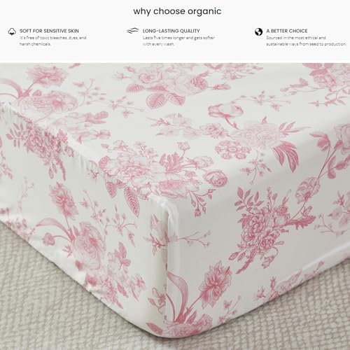 Brandream French Country Toile Crib Bedding Set - Image 4