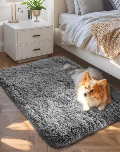 Ophanie 2x4 Small Rug Upgrade Non Slip Throw Bedside Area Rugs, Fluffy Soft by Ophanie