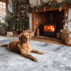 Washable Living Room Area Rug: 6x9 Rugs - Image 6