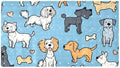 Shower Mat Bathtub Mat, 26.8x15.1 inch, Non-Slip Bath Mat by Anna+Cowper