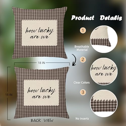 How Lucky are We Brown Gingham Pillow Cover 18x18, Trendy Minimalist Home Decor - Image 2